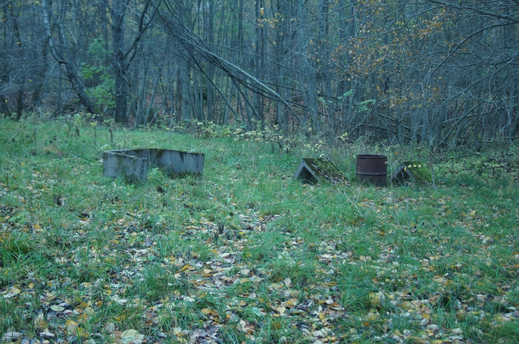 Udda objekt i skogen