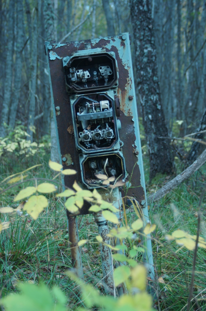 El finns det iaf i skogen