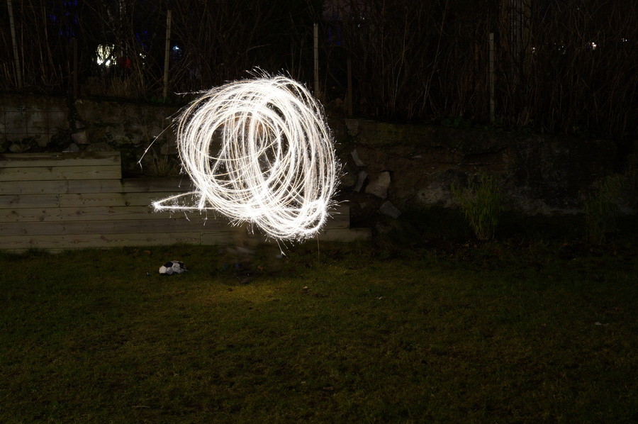Fotografering av tomtebloss