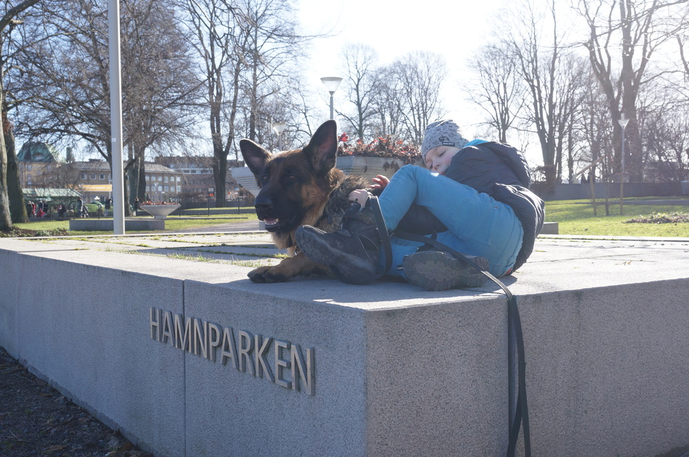 Bästa vännerna