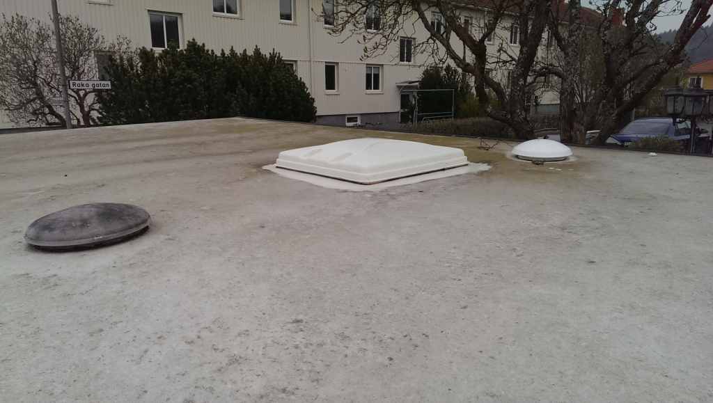 Ena takluckan rengjord och monterad