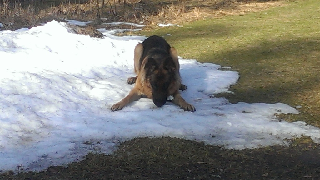 Euro passar på att njuta av den sista snön