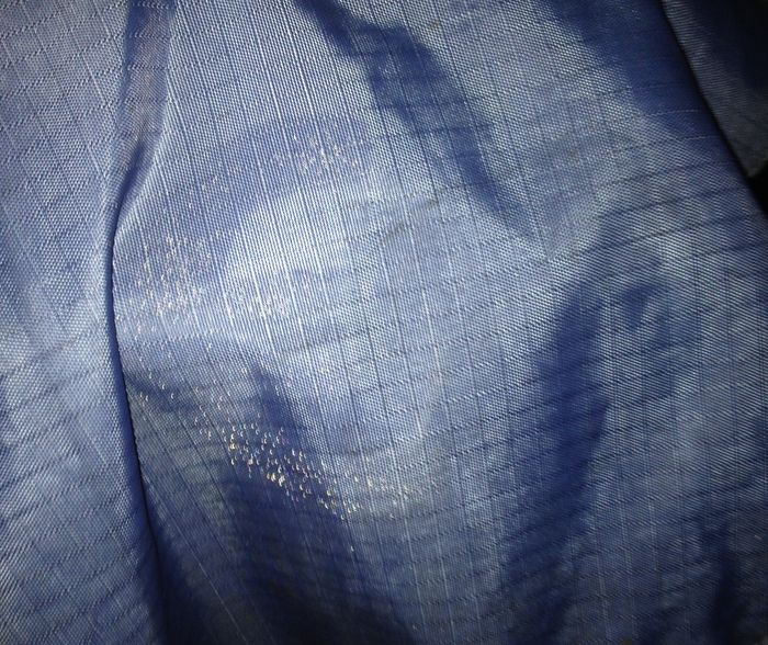Reflexspray efter 2 veckors hundpromenader