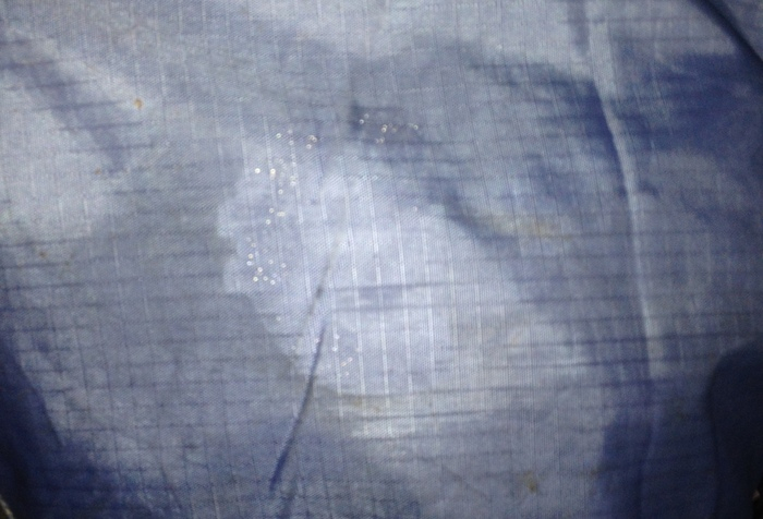 Reflexspray efter 2 veckors hundpromenader