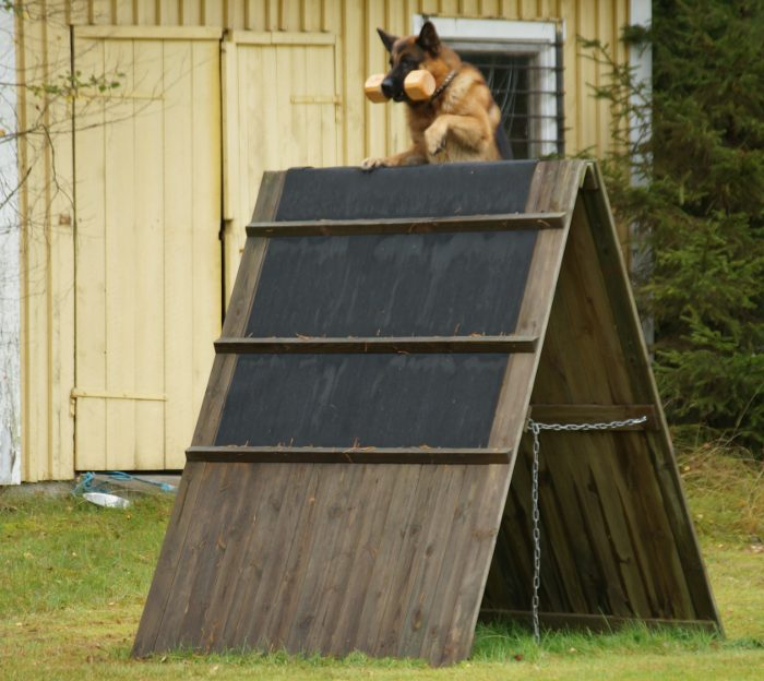 Apportering över A-hinder