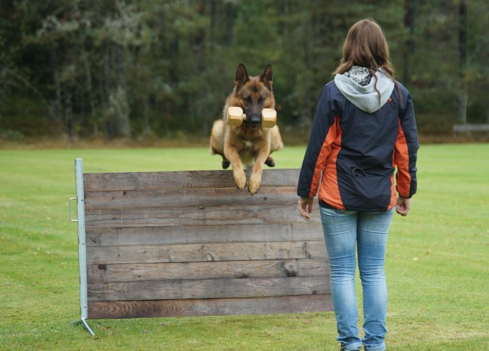 Apportering över hopphinder
